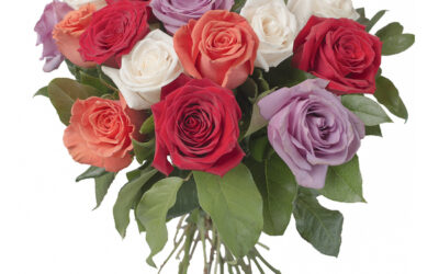 Buquê de 18 Rosas Mistas ; Ramo de 12 Rosas Mixtas ; Bouquet of 12 Mixed Color Roses