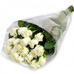 Buquê de 18 Rosas Brancas ; Ramo de 12 Rosas Blancas ; Bouquet of 12 White Roses