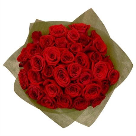 36 Rosas Rojas; 36 Red Roses Bouquet ; 36 Rosas Vermelhas