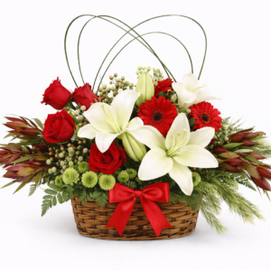 Centro de Flores Noel