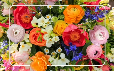 Flores y Significados: El Mensaje Detrás de Cada Especie