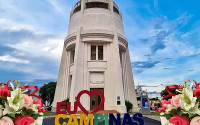 Flores y Canastas en Campinas: Regala con Elegancia y Sofisticación con FloresnaWeb