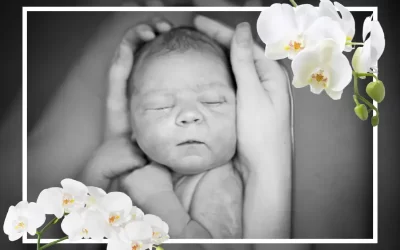 Fora do Brasil e Quer Celebrar um Nascimento? FloresnaWeb Faz a Magia Acontecer